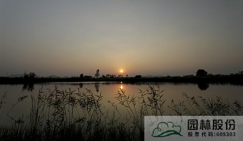 电竞比赛押注app