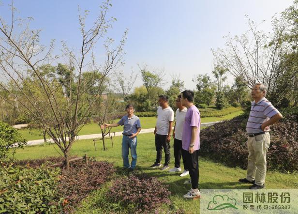 电竞比赛押注app