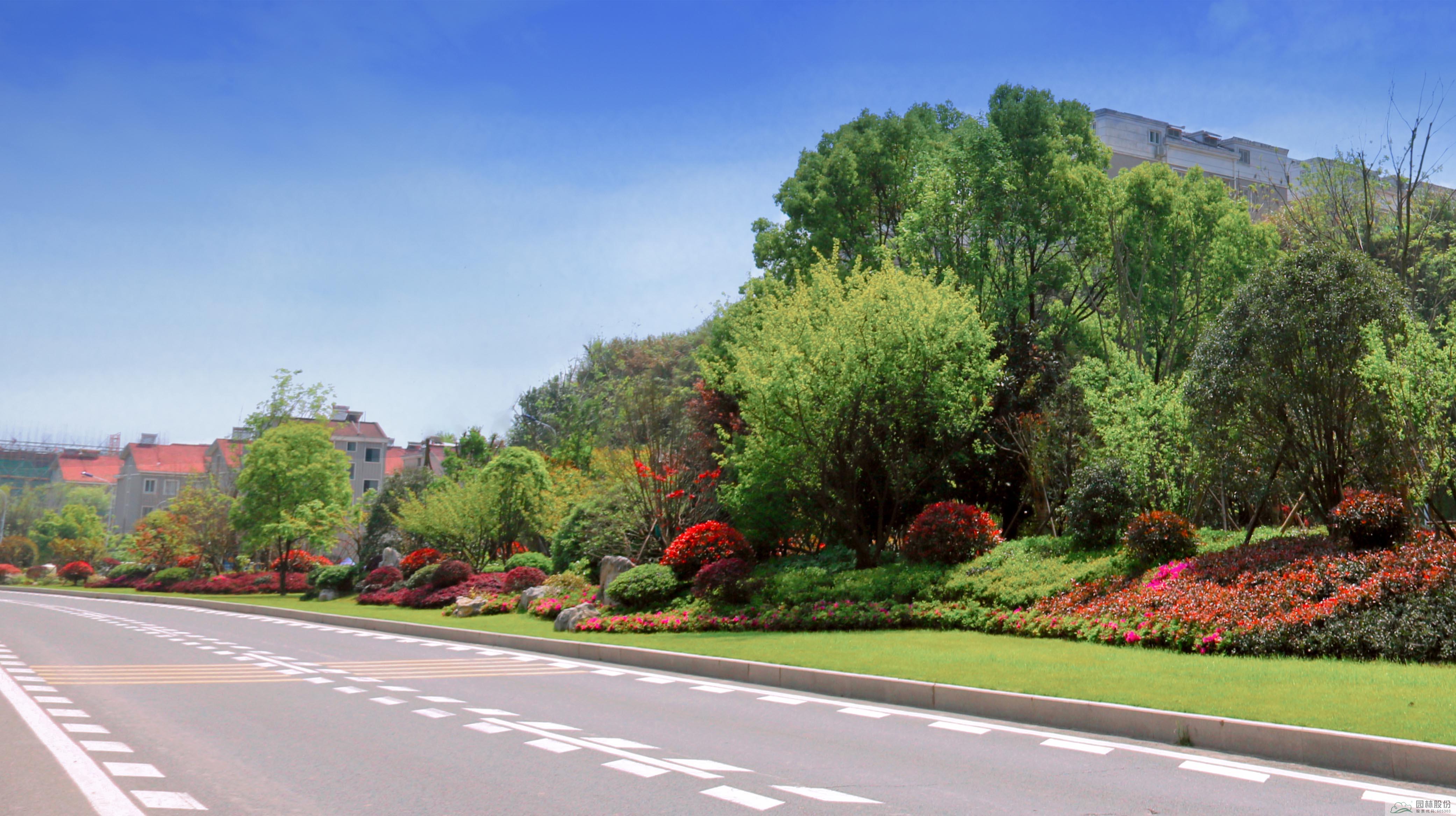 电竞比赛押注app