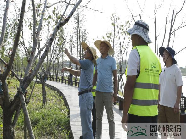 电竞比赛押注app
