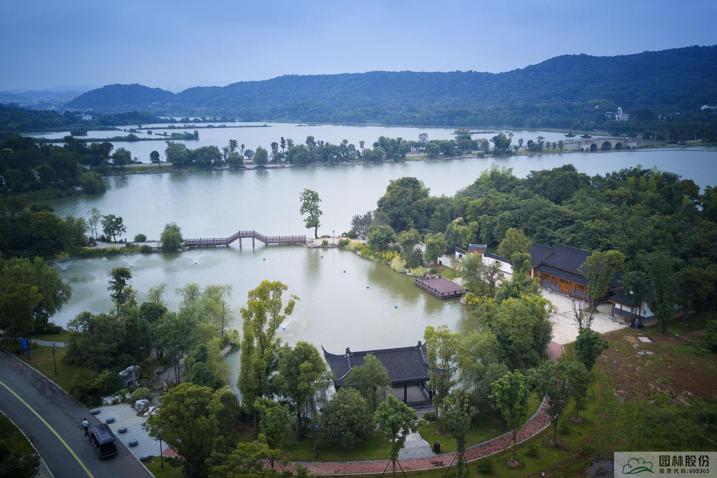 电竞比赛押注app