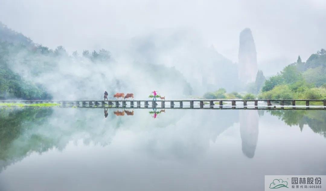 电竞比赛押注app