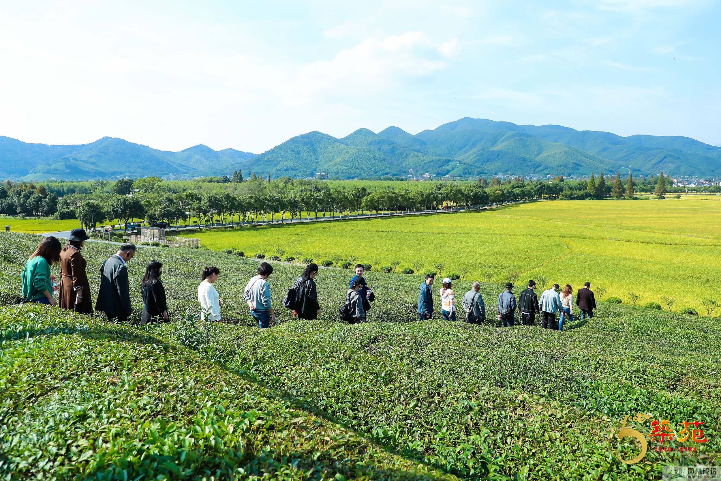 电竞比赛押注app