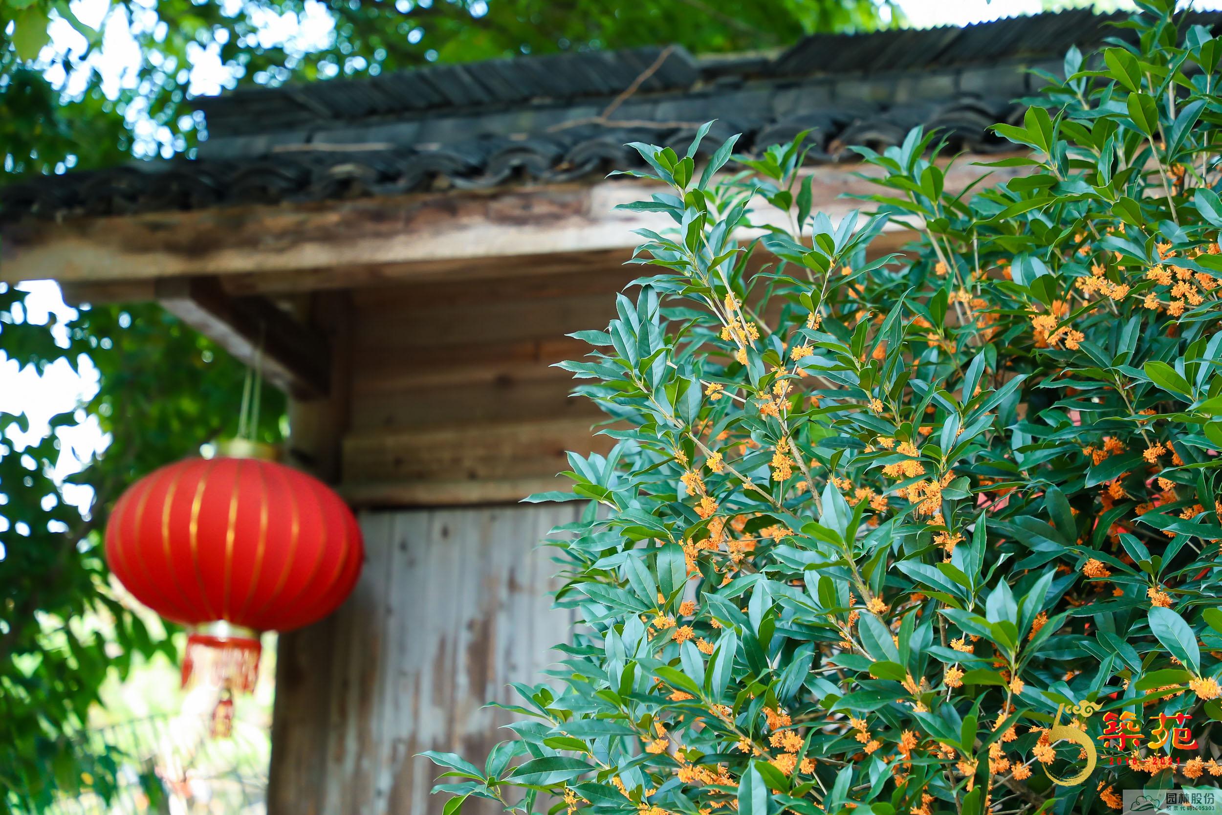 电竞比赛押注app