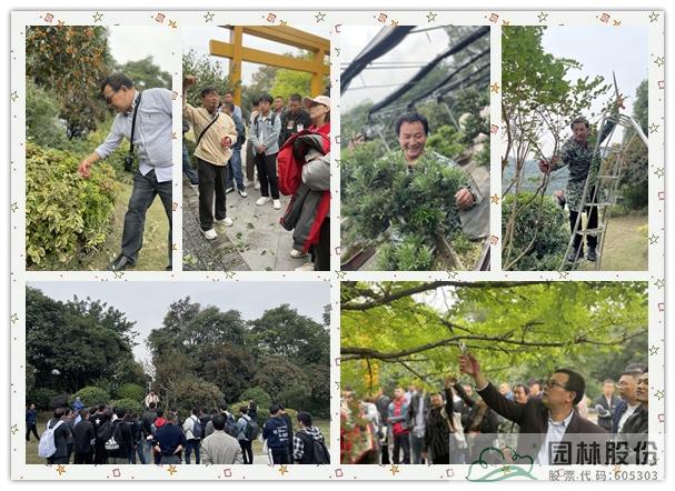 电竞比赛押注app