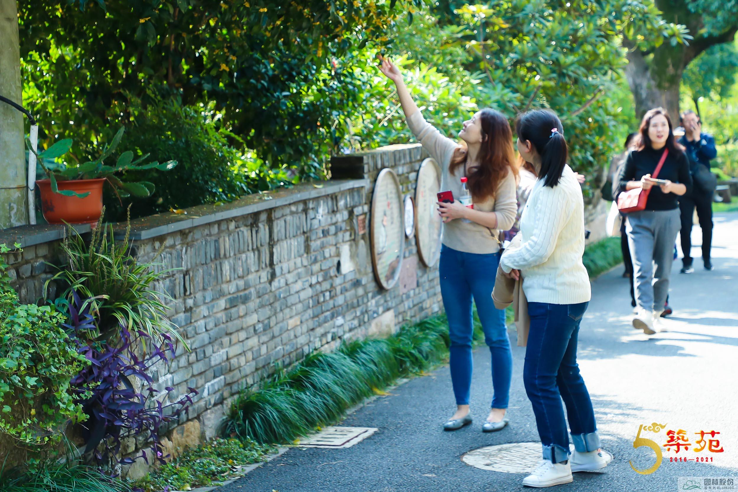 电竞比赛押注app