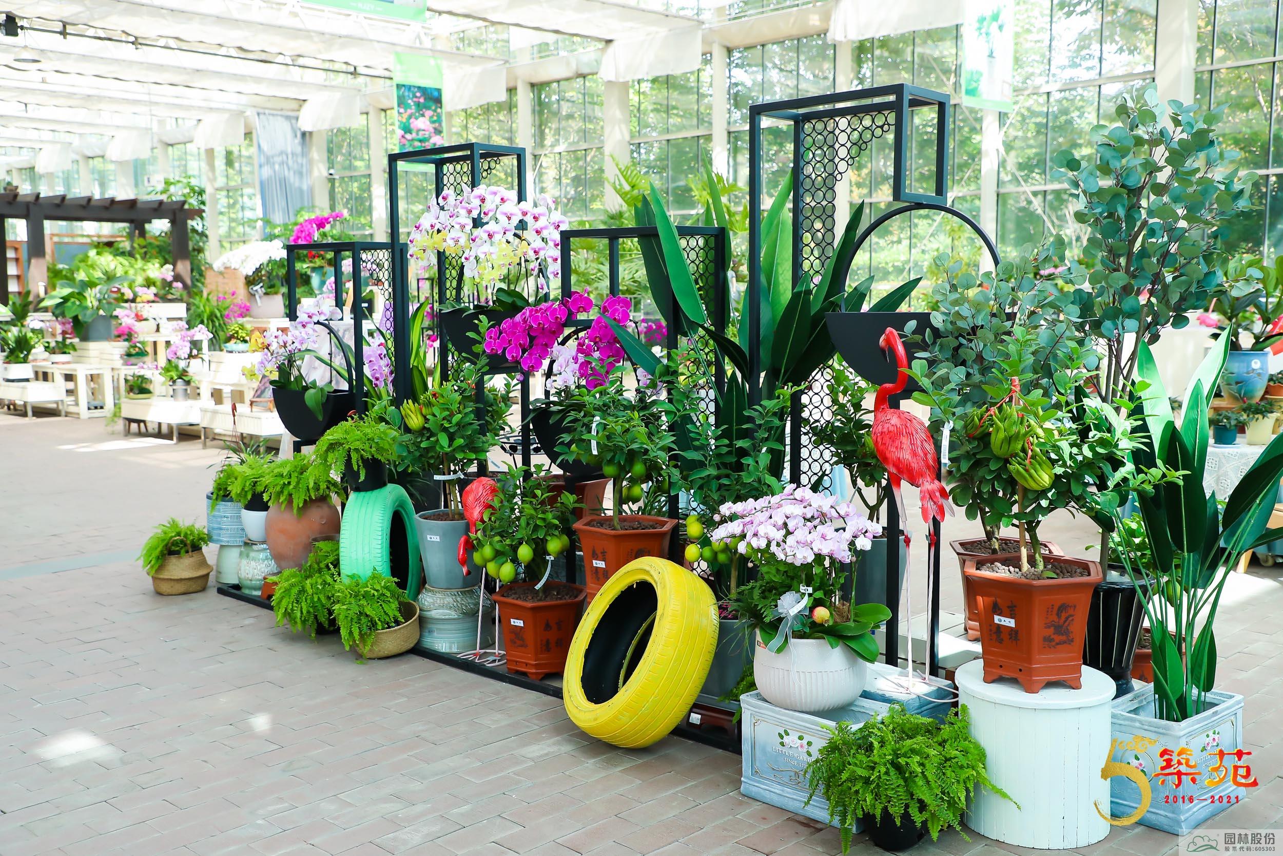 电竞比赛押注app