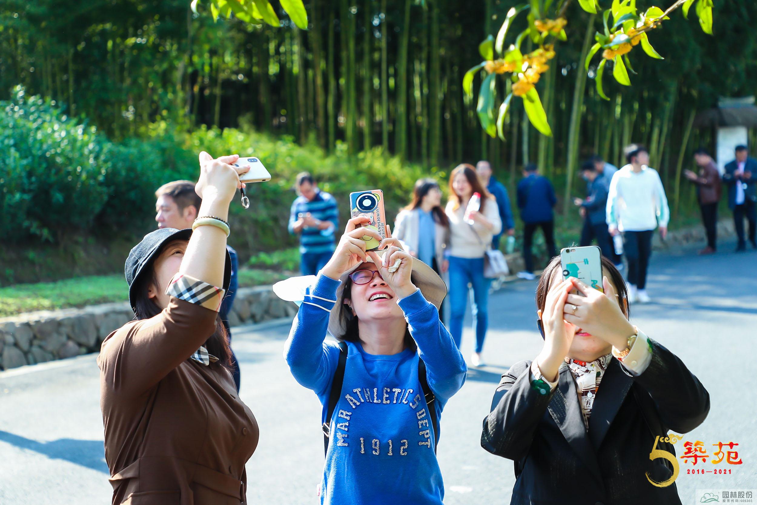 电竞比赛押注app