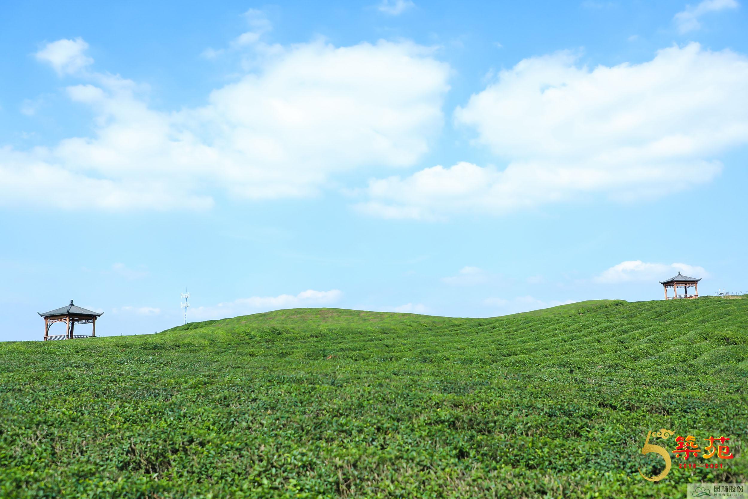 电竞比赛押注app