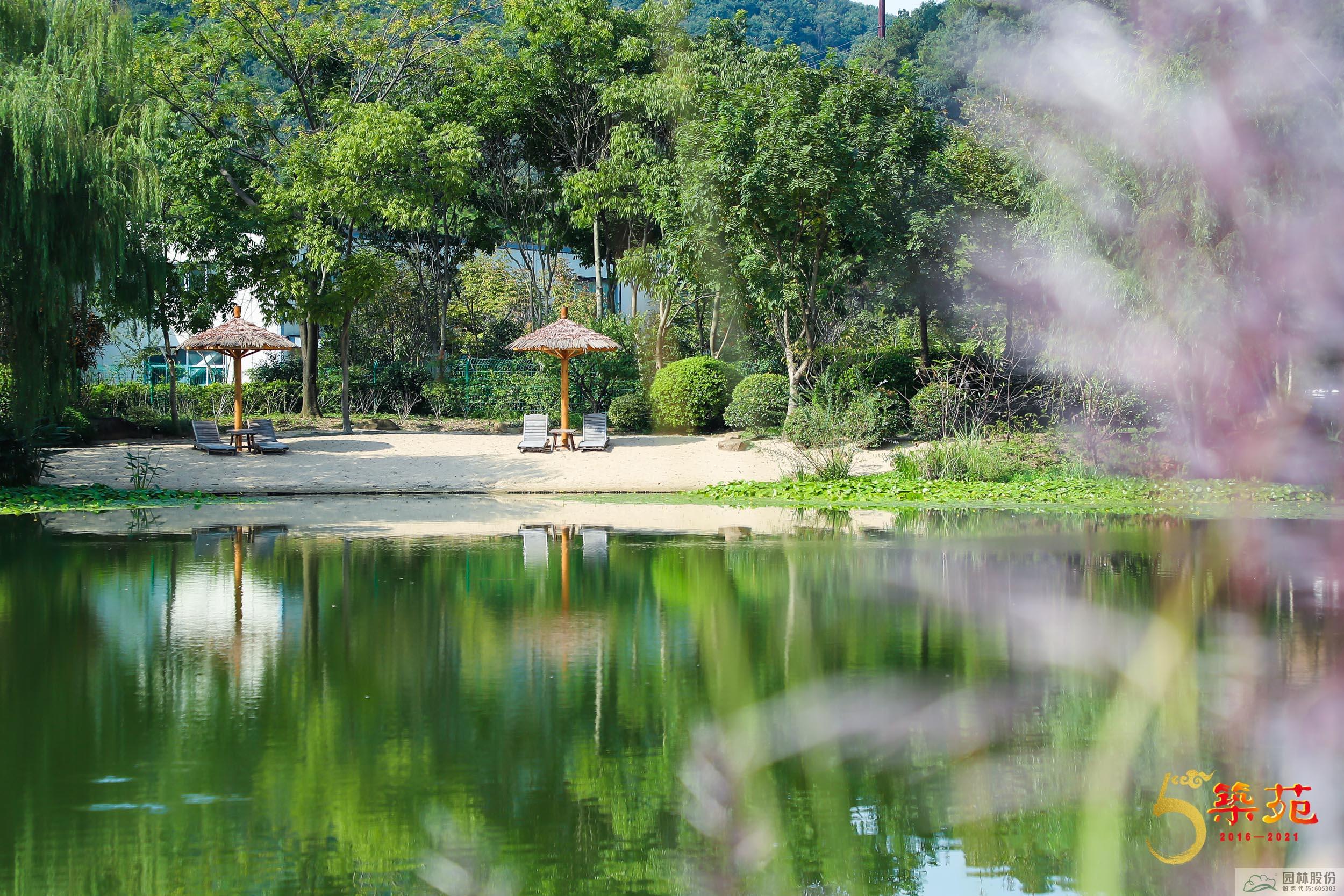 电竞比赛押注app