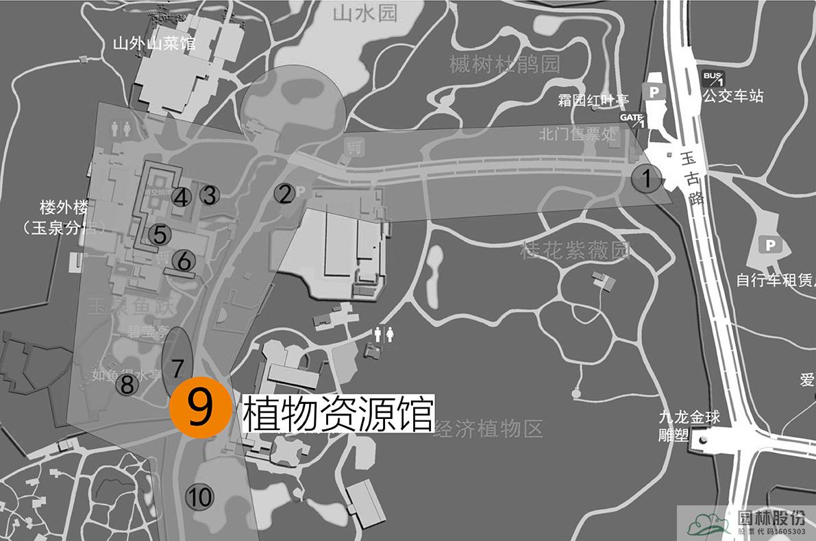 电竞比赛押注app