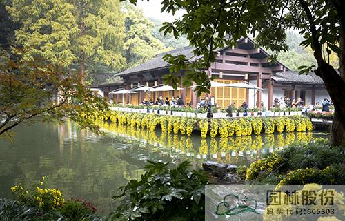 电竞比赛押注app