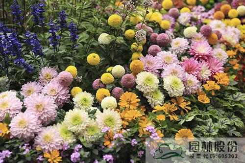 电竞比赛押注app