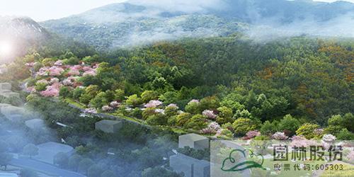 电竞比赛押注app