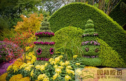 电竞比赛押注app