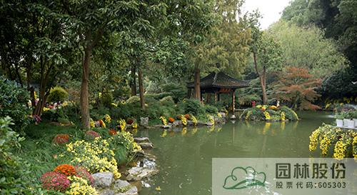 电竞比赛押注app