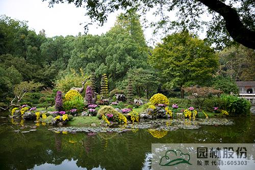 电竞比赛押注app