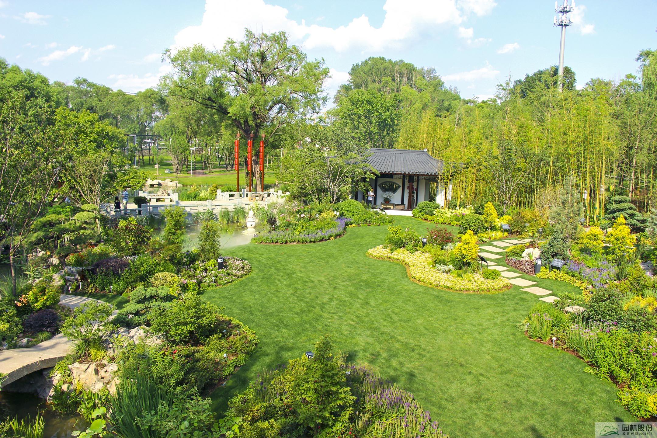 电竞比赛押注app