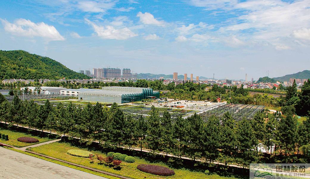 电竞比赛押注app