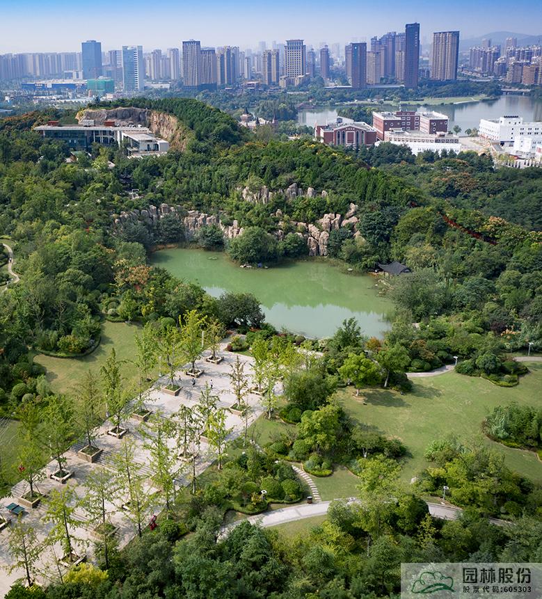 电竞比赛押注app