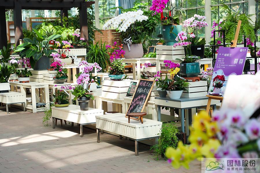 电竞比赛押注app