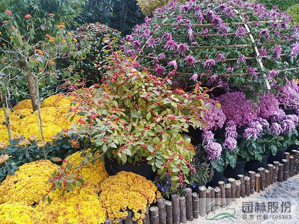 电竞比赛押注app