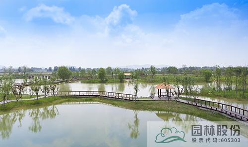 电竞比赛押注app