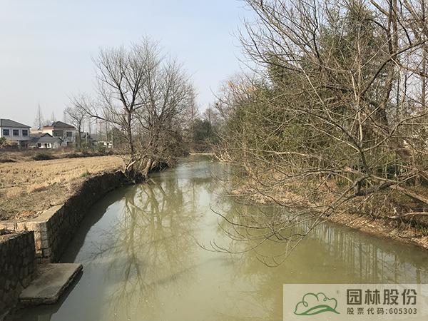 电竞比赛押注app