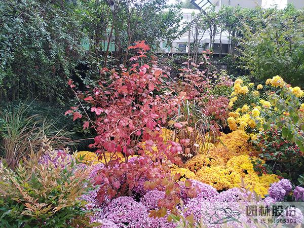 电竞比赛押注app