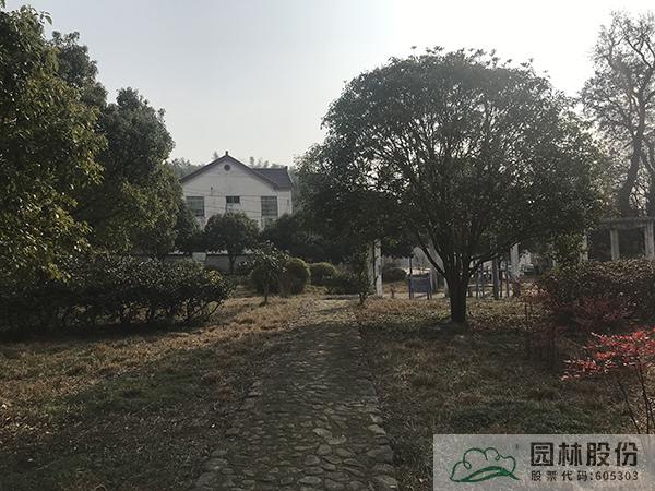 电竞比赛押注app