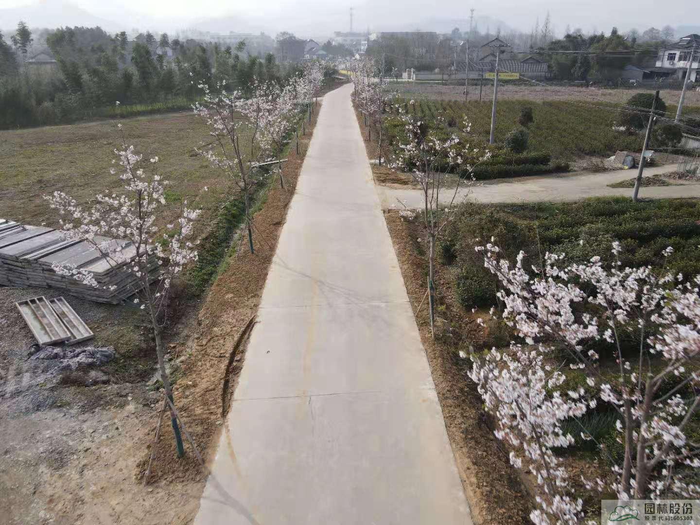 电竞比赛押注app