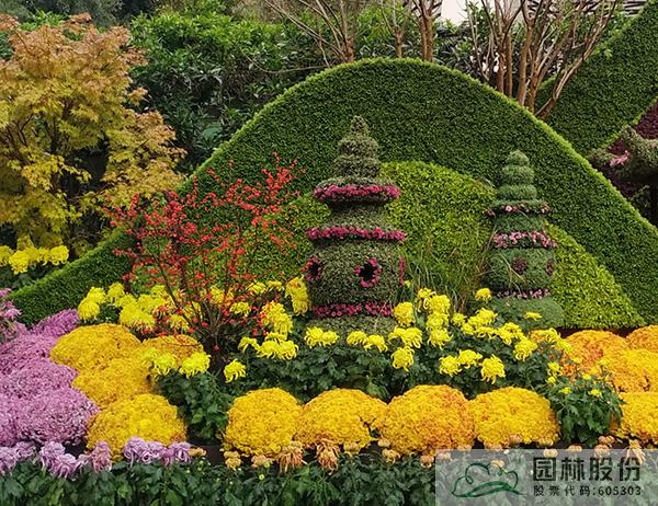 电竞比赛押注app