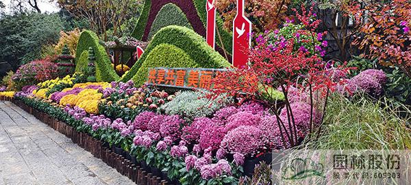 电竞比赛押注app