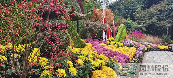 电竞比赛押注app