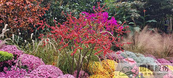 电竞比赛押注app