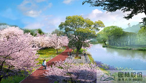 电竞比赛押注app