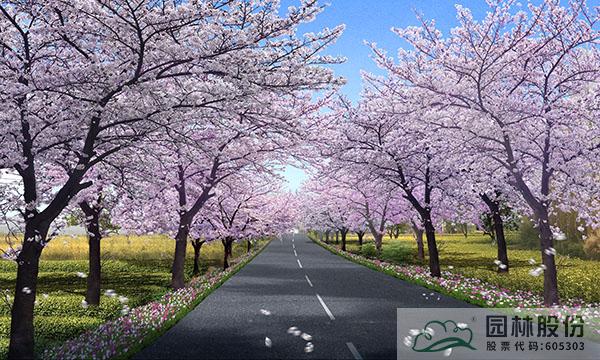 电竞比赛押注app