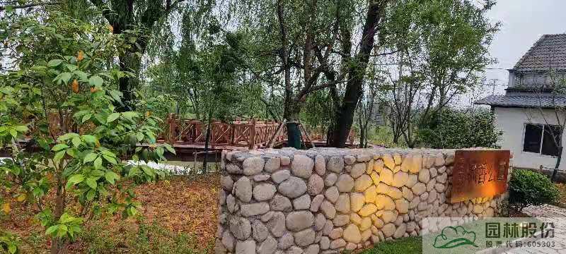 电竞比赛押注app