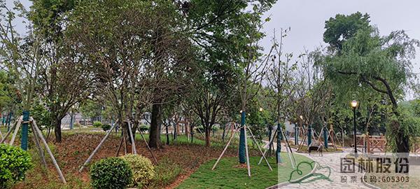 电竞比赛押注app