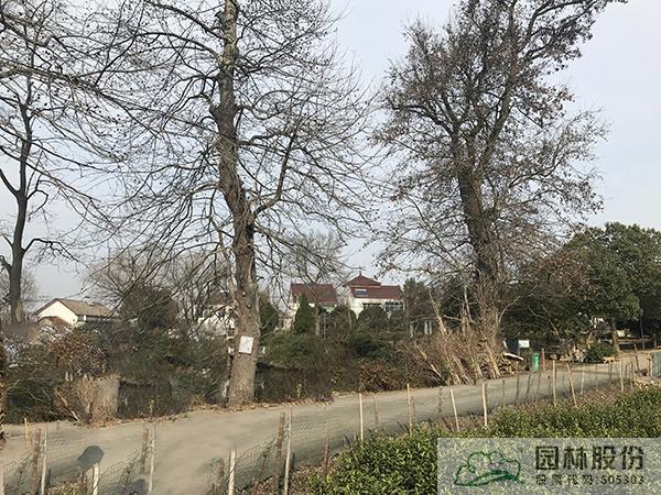 电竞比赛押注app