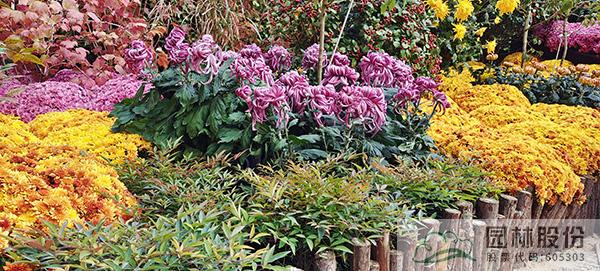 电竞比赛押注app