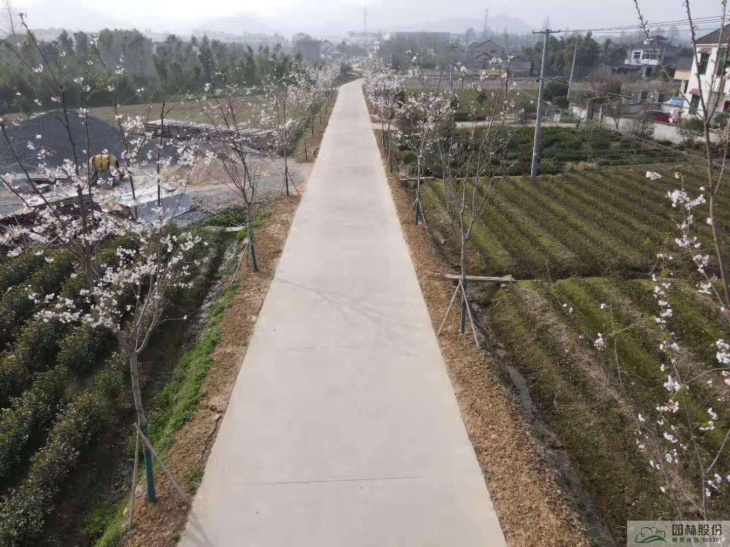 电竞比赛押注app