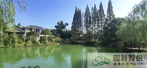 电竞比赛押注app