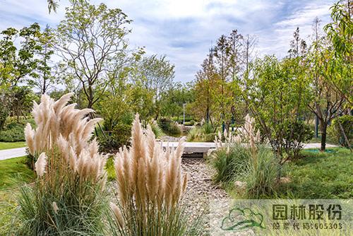 电竞比赛押注app