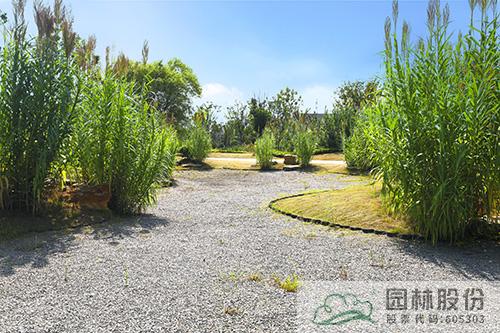 电竞比赛押注app