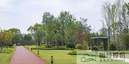 电竞比赛押注app