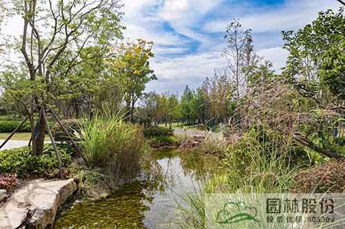 电竞比赛押注app