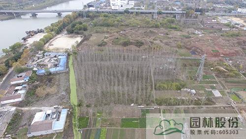 电竞比赛押注app