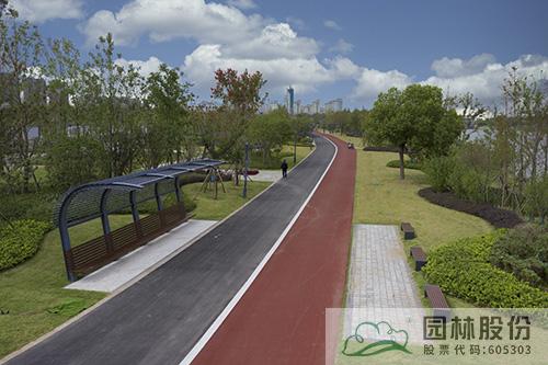 电竞比赛押注app