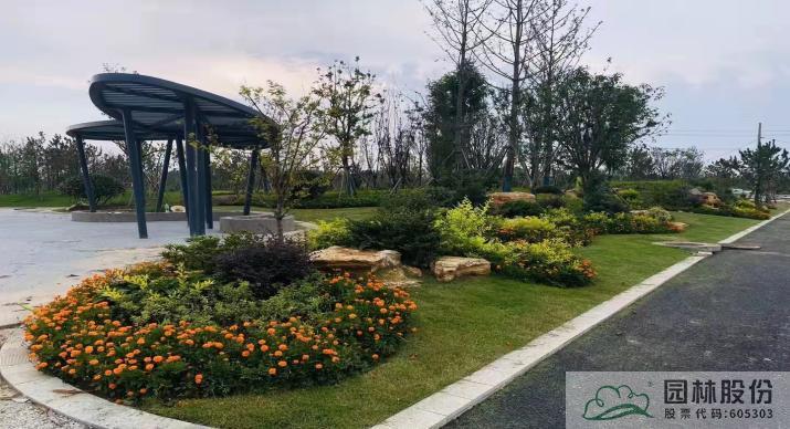 电竞比赛押注app